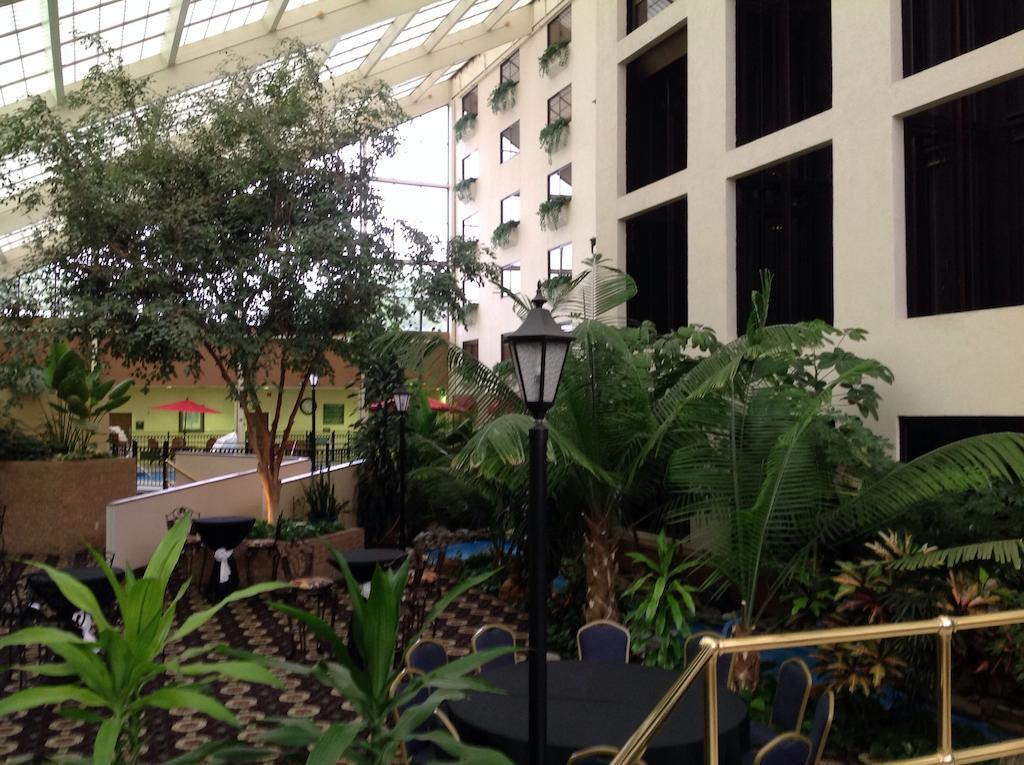 Wyndham Garden Amarillo Hotell Exteriör bild